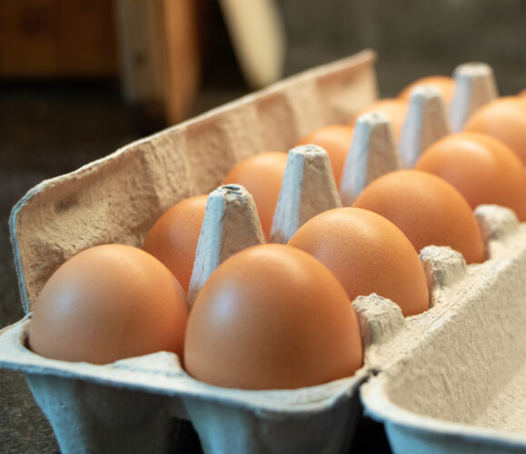 How Are Eggs Graded